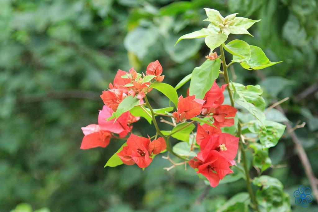 Pousada Villaggio Assis Ilhabela Luaran gambar